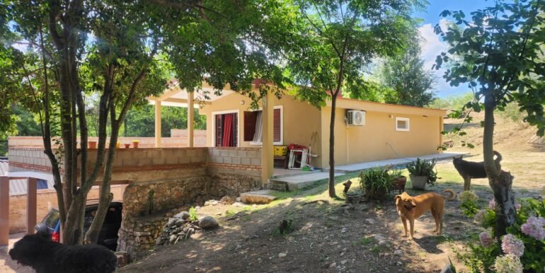 WhatsApp Image 2026-01-24 at 08.57.16 (1)