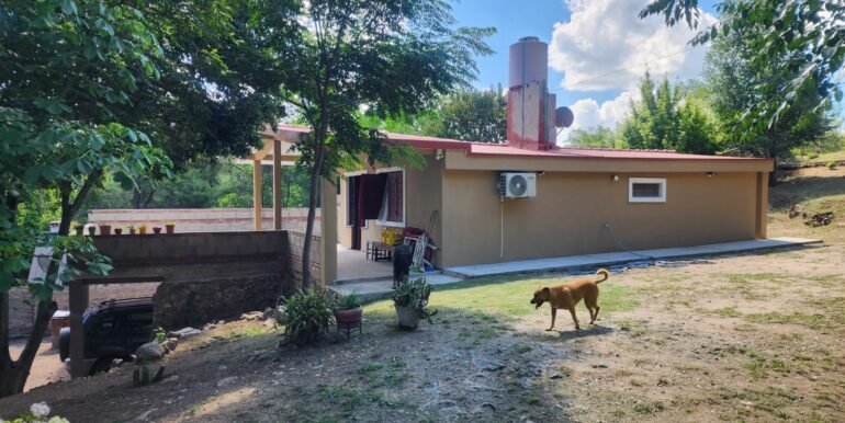 WhatsApp Image 2026-01-24 at 08.57.17