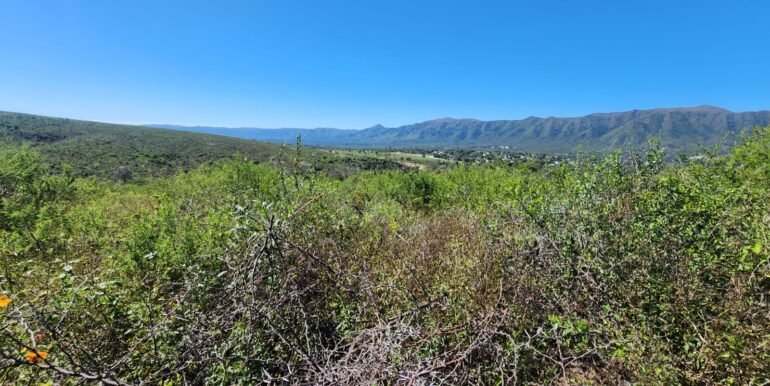 WhatsApp Image 2025-04-15 at 09.08.30 (1)