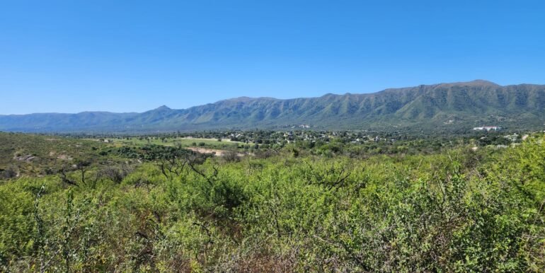 WhatsApp Image 2025-04-15 at 09.08.30