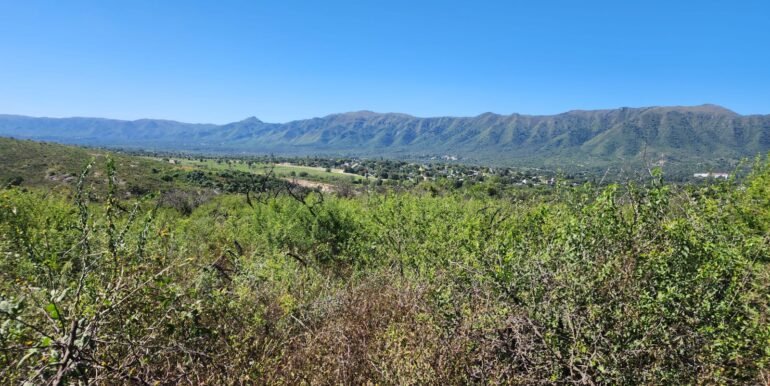 WhatsApp Image 2025-04-15 at 09.08.31 (2)