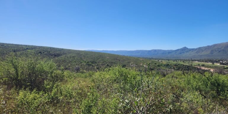 WhatsApp Image 2025-04-15 at 09.08.31