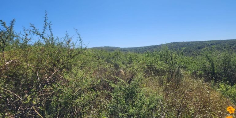 WhatsApp Image 2025-04-15 at 09.08.32 (1)