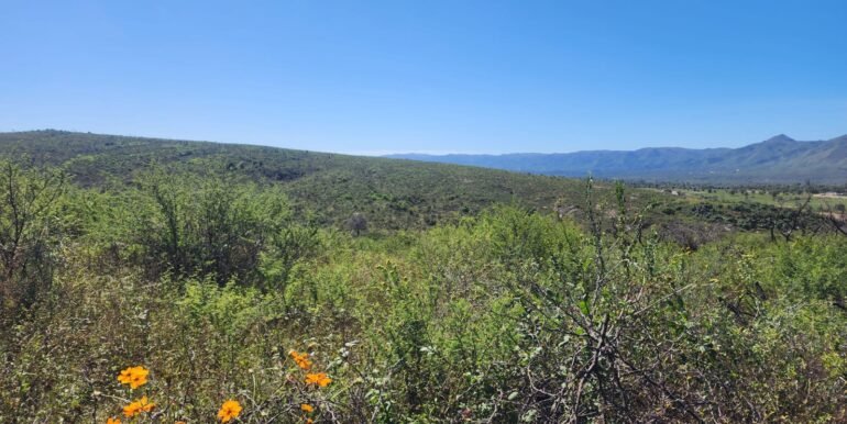 WhatsApp Image 2025-04-15 at 09.08.32