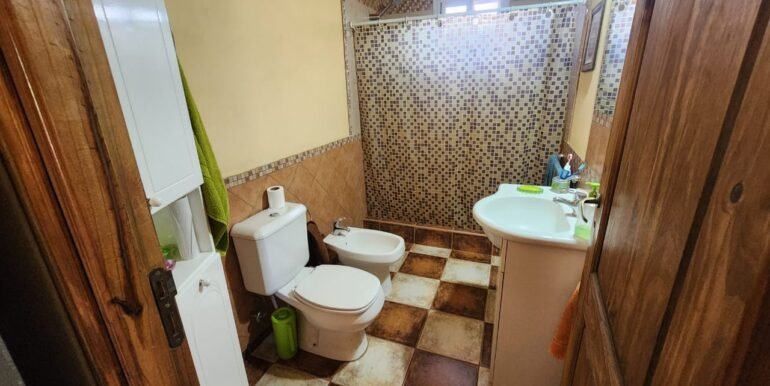 WhatsApp Image 2026-02-02 at 11.01.16