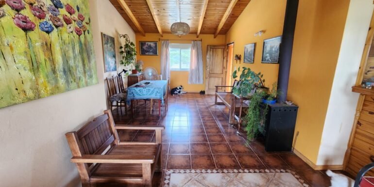 WhatsApp Image 2026-02-02 at 11.01.22 (3)