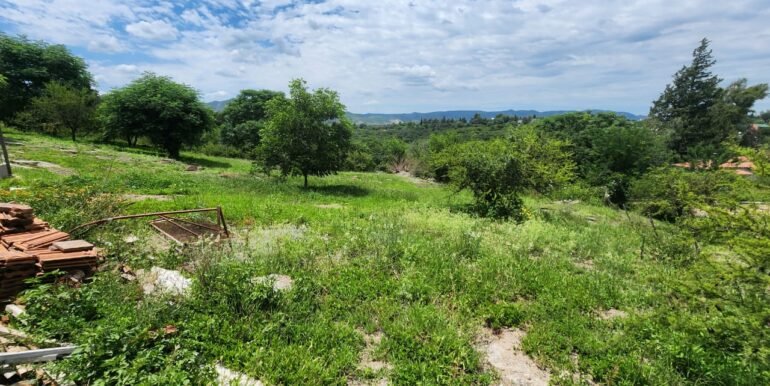 WhatsApp Image 2026-02-02 at 11.01.24