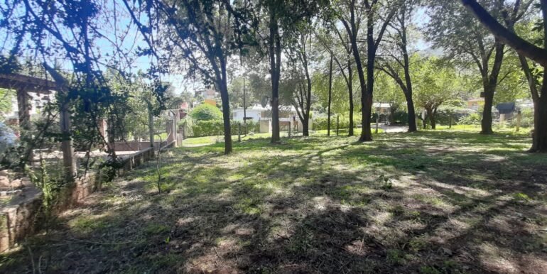 WhatsApp Image 2026-02-12 at 00.27.27 (3)