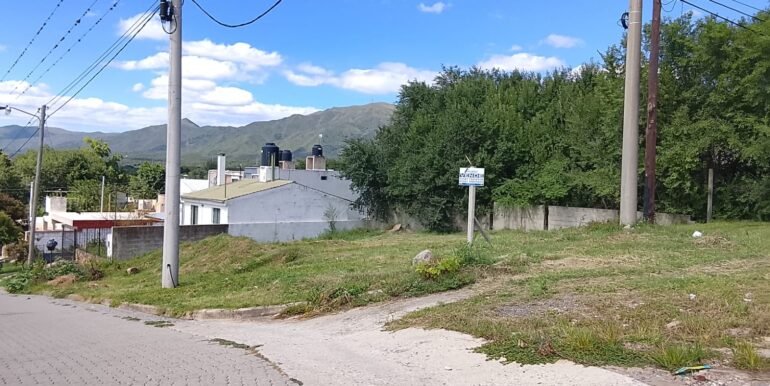 WhatsApp Image 2026-02-12 at 00.38.49