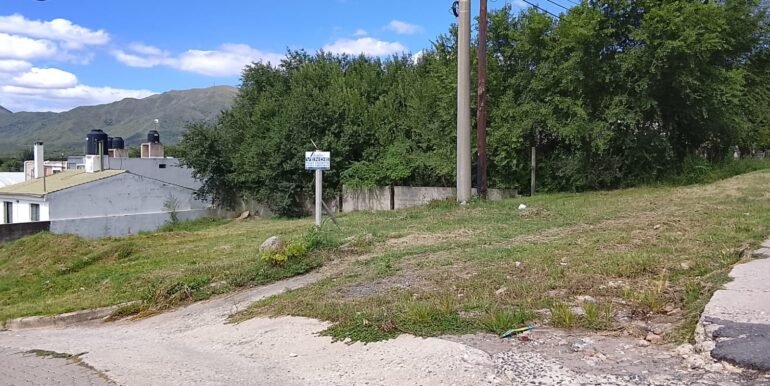 WhatsApp Image 2026-02-12 at 00.38.57 (1)