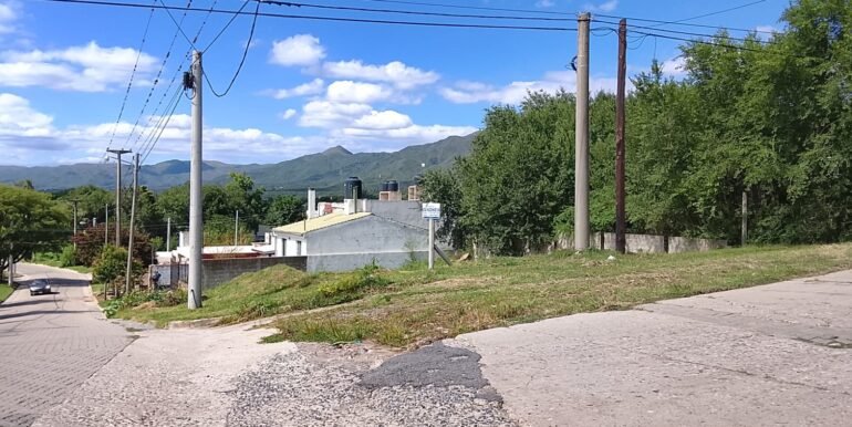 WhatsApp Image 2026-02-12 at 00.38.58 (5)