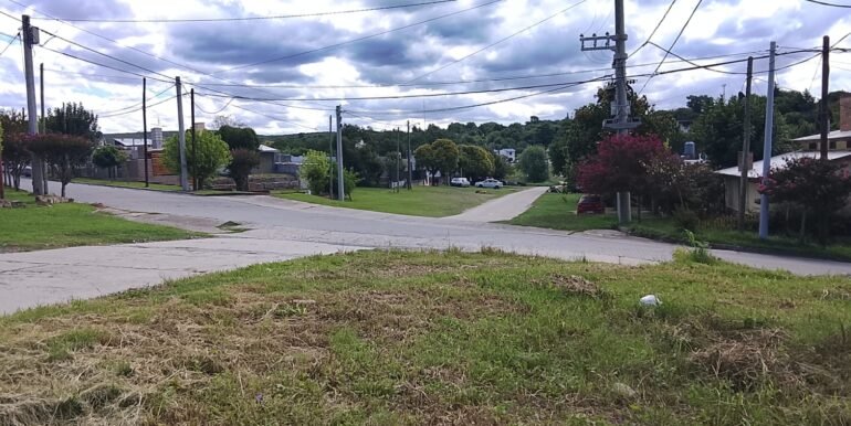 WhatsApp Image 2026-02-12 at 00.39.01 (1)