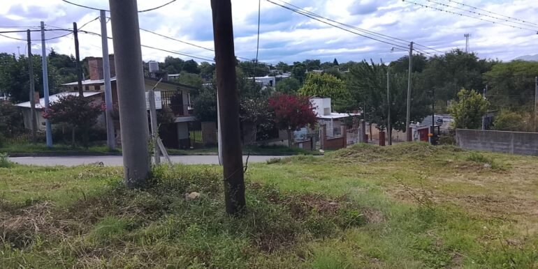 WhatsApp Image 2026-02-12 at 00.39.01 (4)