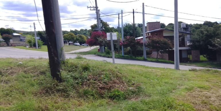 WhatsApp Image 2026-02-12 at 00.39.02 (1)