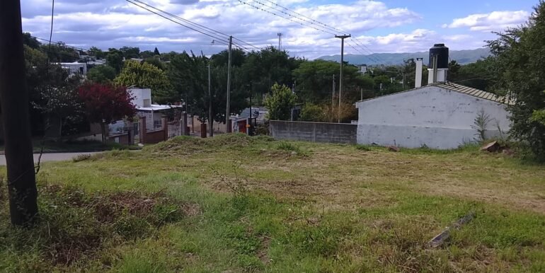 WhatsApp Image 2026-02-12 at 00.39.02 (2)