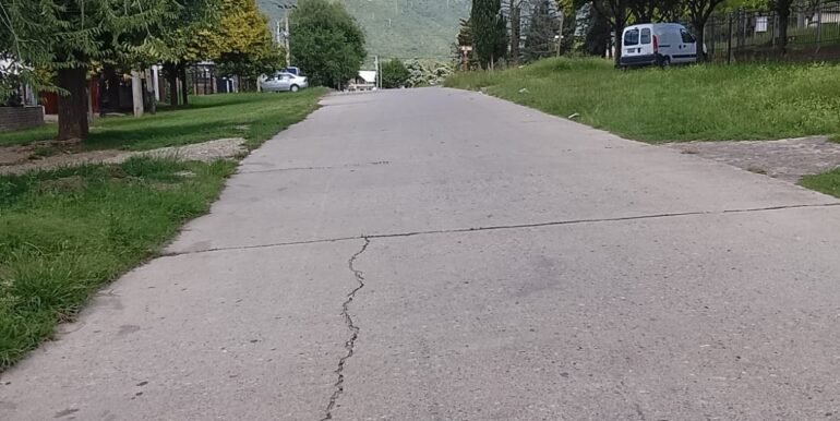 WhatsApp Image 2026-02-12 at 00.39.03