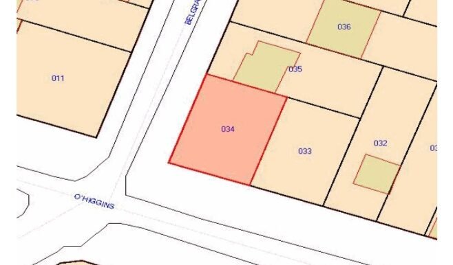 WhatsApp Image 2026-02-12 at 00.43.36