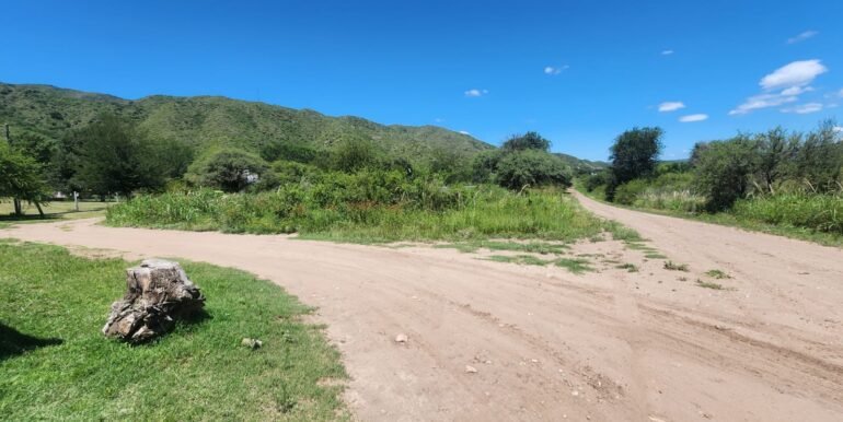 WhatsApp Image 2026-02-13 at 09.13.55