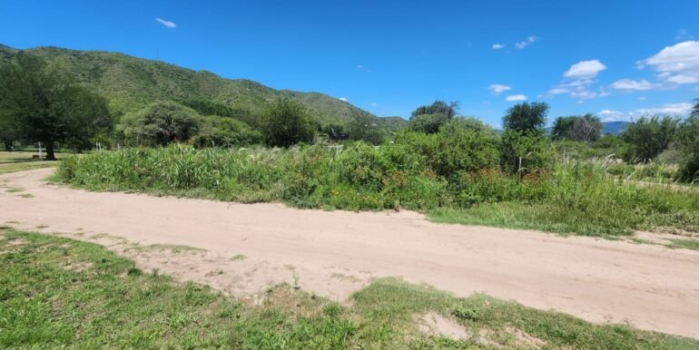 WhatsApp Image 2026-02-13 at 09.14.02 (2)