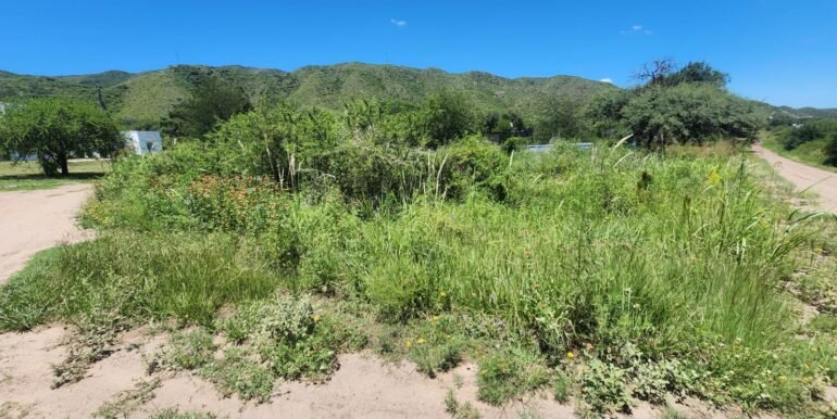 WhatsApp Image 2026-02-13 at 09.14.02