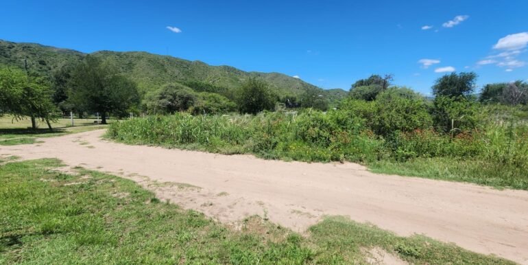 WhatsApp Image 2026-02-13 at 09.14.05