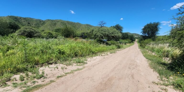 WhatsApp Image 2026-02-13 at 09.14.06 (2)