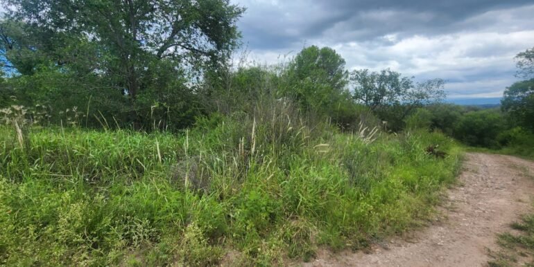 WhatsApp Image 2026-02-18 at 19.38.21 (2)