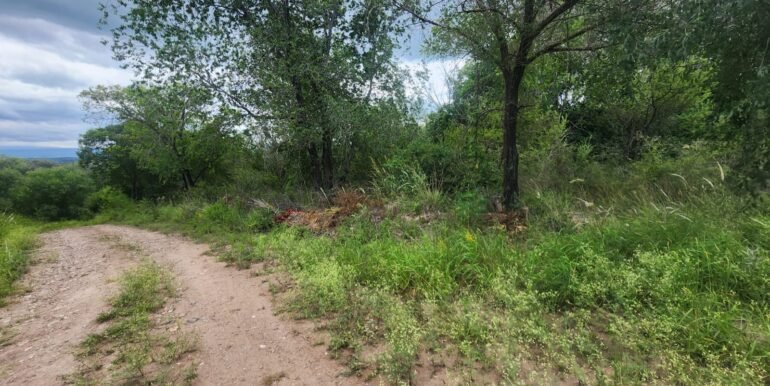 WhatsApp Image 2026-02-18 at 19.38.21