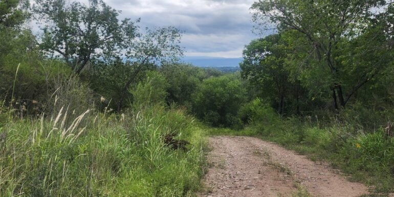 WhatsApp Image 2026-02-18 at 19.38.22