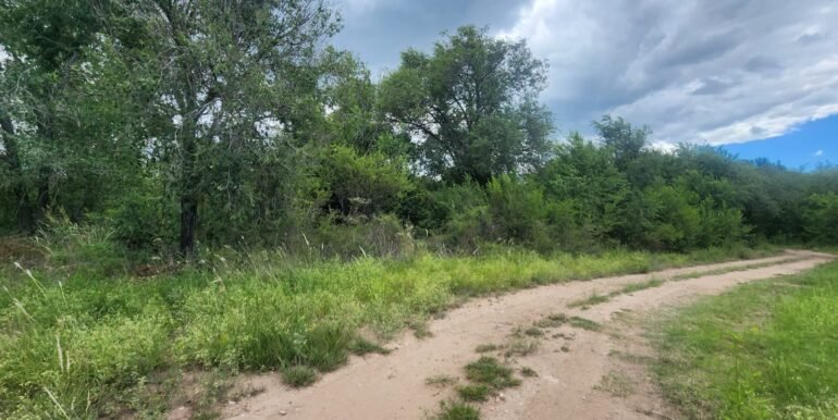 WhatsApp Image 2026-02-18 at 19.38.23