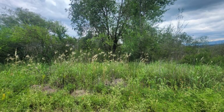 WhatsApp Image 2026-02-18 at 19.38.24