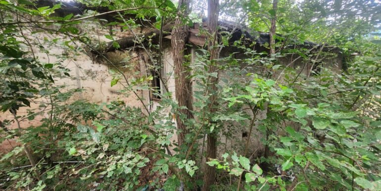 WhatsApp Image 2026-02-18 at 19.41.00 (2)