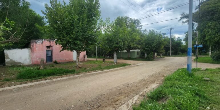 WhatsApp Image 2026-02-18 at 19.41.02 (1)