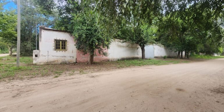 WhatsApp Image 2026-02-18 at 19.41.04