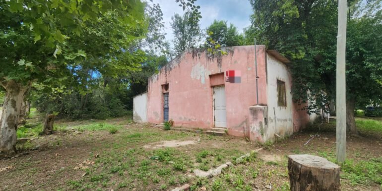 WhatsApp Image 2026-02-24 at 16.59.53