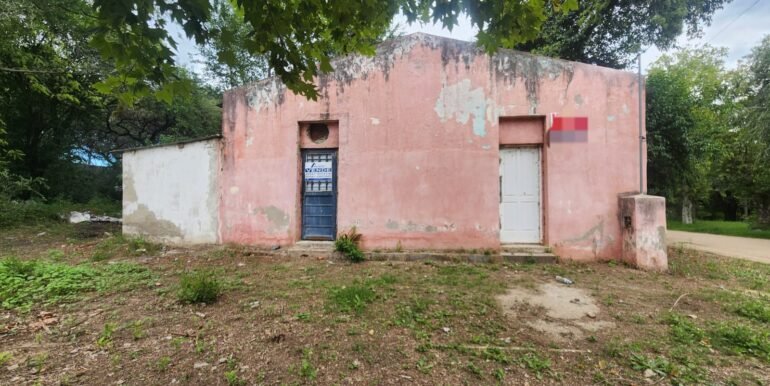 WhatsApp Image 2026-02-24 at 16.59.54 (2)