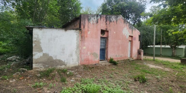 WhatsApp Image 2026-02-24 at 16.59.54 (3)