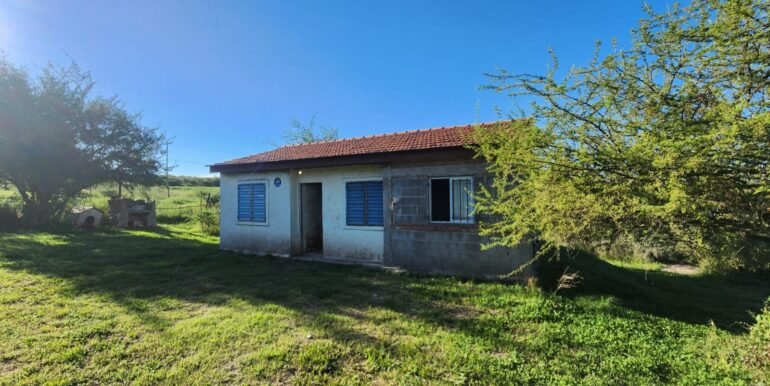 WhatsApp Image 2026-02-26 at 16.19.57