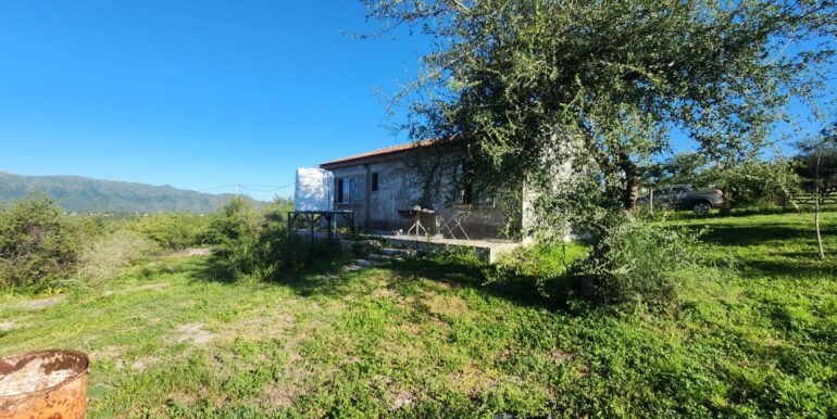 WhatsApp Image 2026-02-26 at 16.19.59