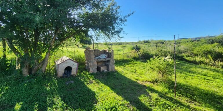 WhatsApp Image 2026-02-26 at 16.20.00 (1)