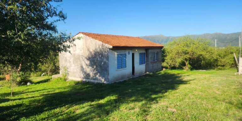 WhatsApp Image 2026-02-26 at 16.20.05 (1)