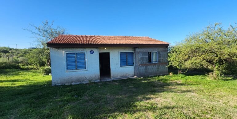 WhatsApp Image 2026-02-26 at 16.20.06