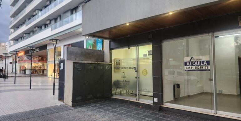 WhatsApp Image 2026-02-27 at 21.19.50