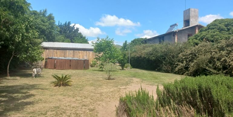 WhatsApp Image 2024-11-21 at 17.59.24 (1) - copia