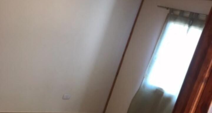 WhatsApp Image 2024-11-22 at 12.43.47