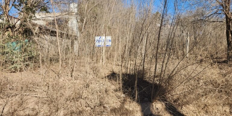 WhatsApp Image 2025-08-07 at 09.35.07