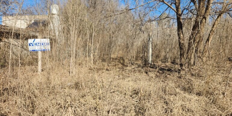 WhatsApp Image 2025-08-07 at 09.35.44 (1)