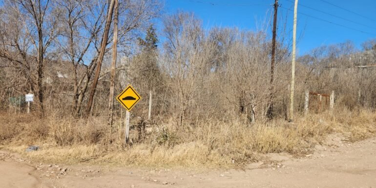 WhatsApp Image 2025-08-07 at 09.35.45