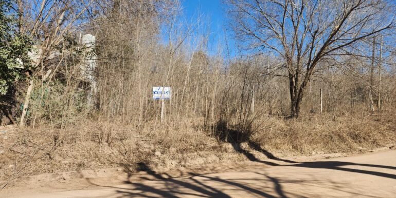 WhatsApp Image 2025-08-07 at 09.36.25 (2)