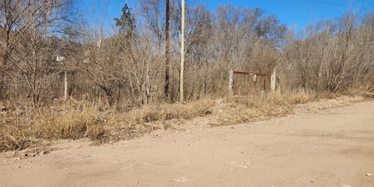 WhatsApp Image 2025-08-07 at 09.36.26